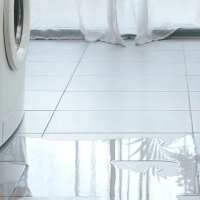 Appliance Leak Cleanup in Crimora, VA