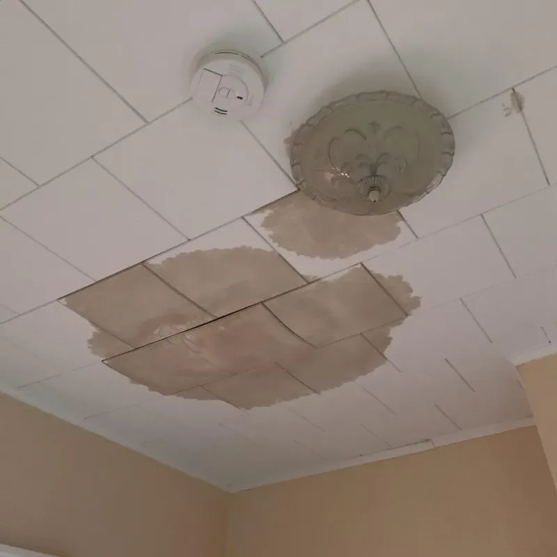 Ceiling Water Damage Repair in Crimora, VA